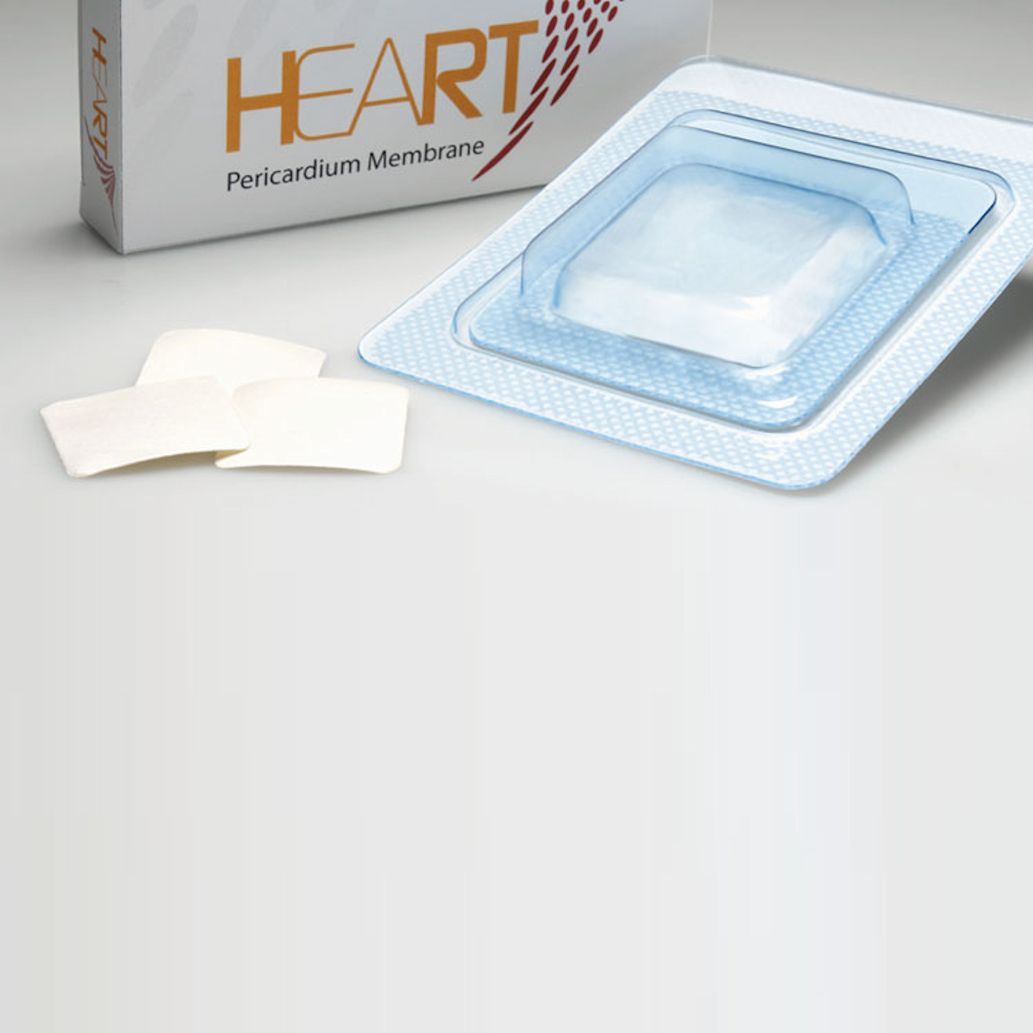 Heart membrana pericardio